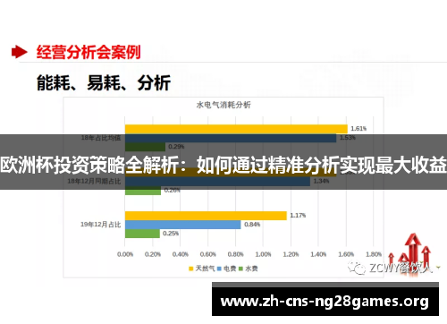 欧洲杯投资策略全解析：如何通过精准分析实现最大收益