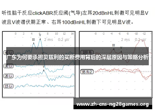 广东为何要承担贝兹利的买断费用背后的深层原因与策略分析