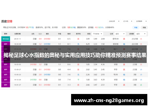 揭秘足球心水指数的奥秘与实用应用技巧助你精准预测赛事结果